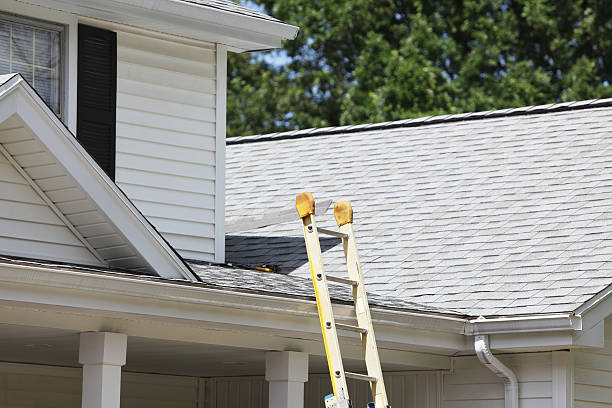 Trusted Paddock Lake, WI Siding Experts